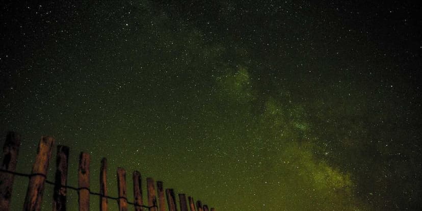 Scaling Observability for Distributed Systems